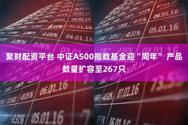 聚财配资平台 中证A500指数基金迎“周年” 产品数量扩容至267只