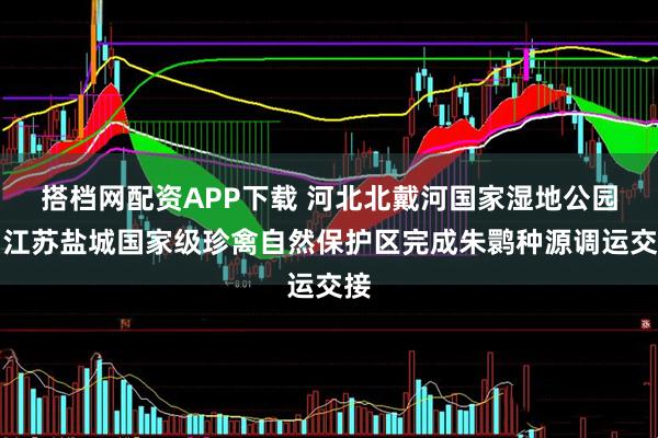 搭档网配资APP下载 河北北戴河国家湿地公园和江苏盐城国家级珍禽自然保护区完成朱鹮种源调运交接